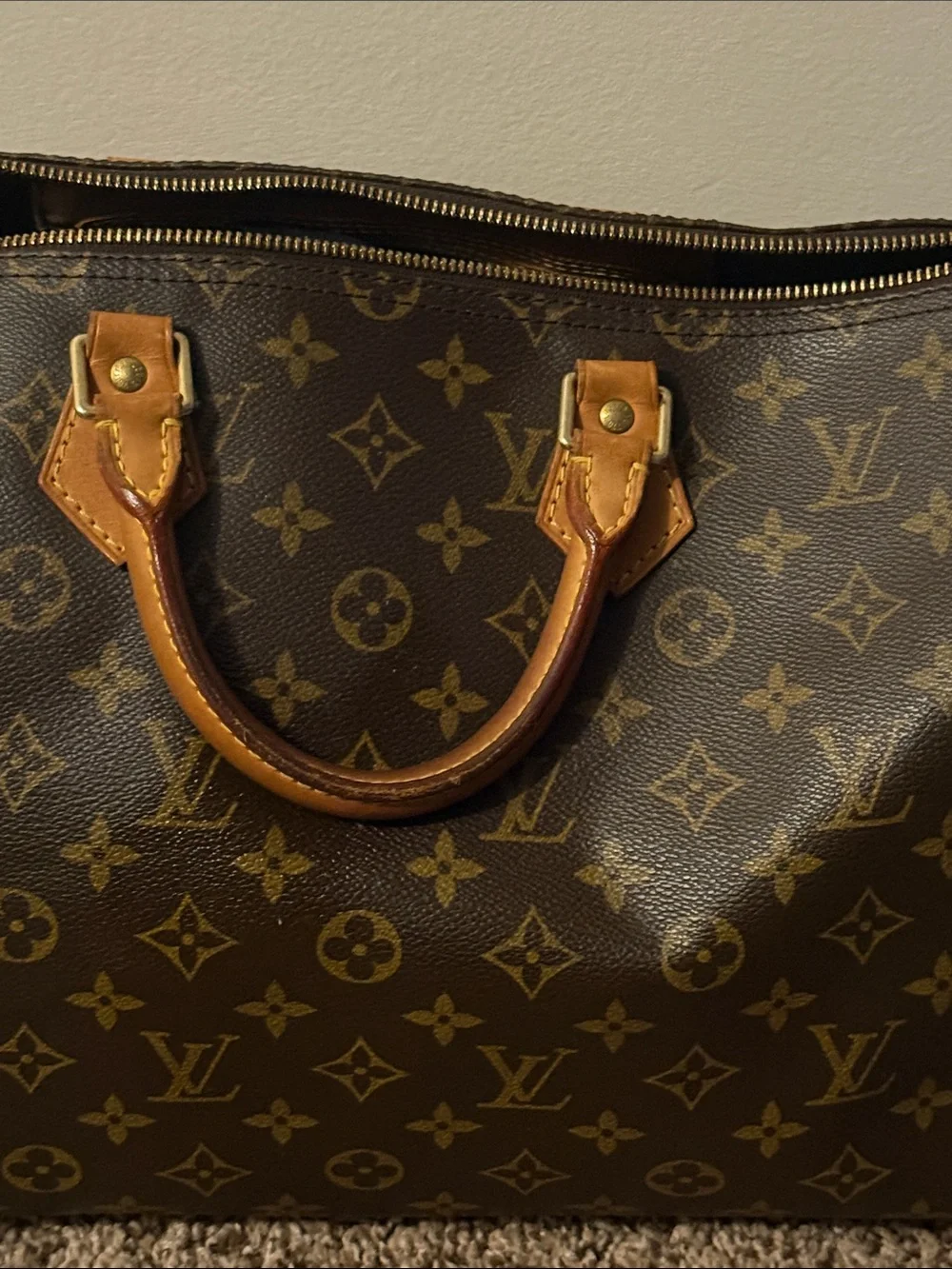 Louis Vuitton Monogram Canvas Speedy Tote in Brown and Tan